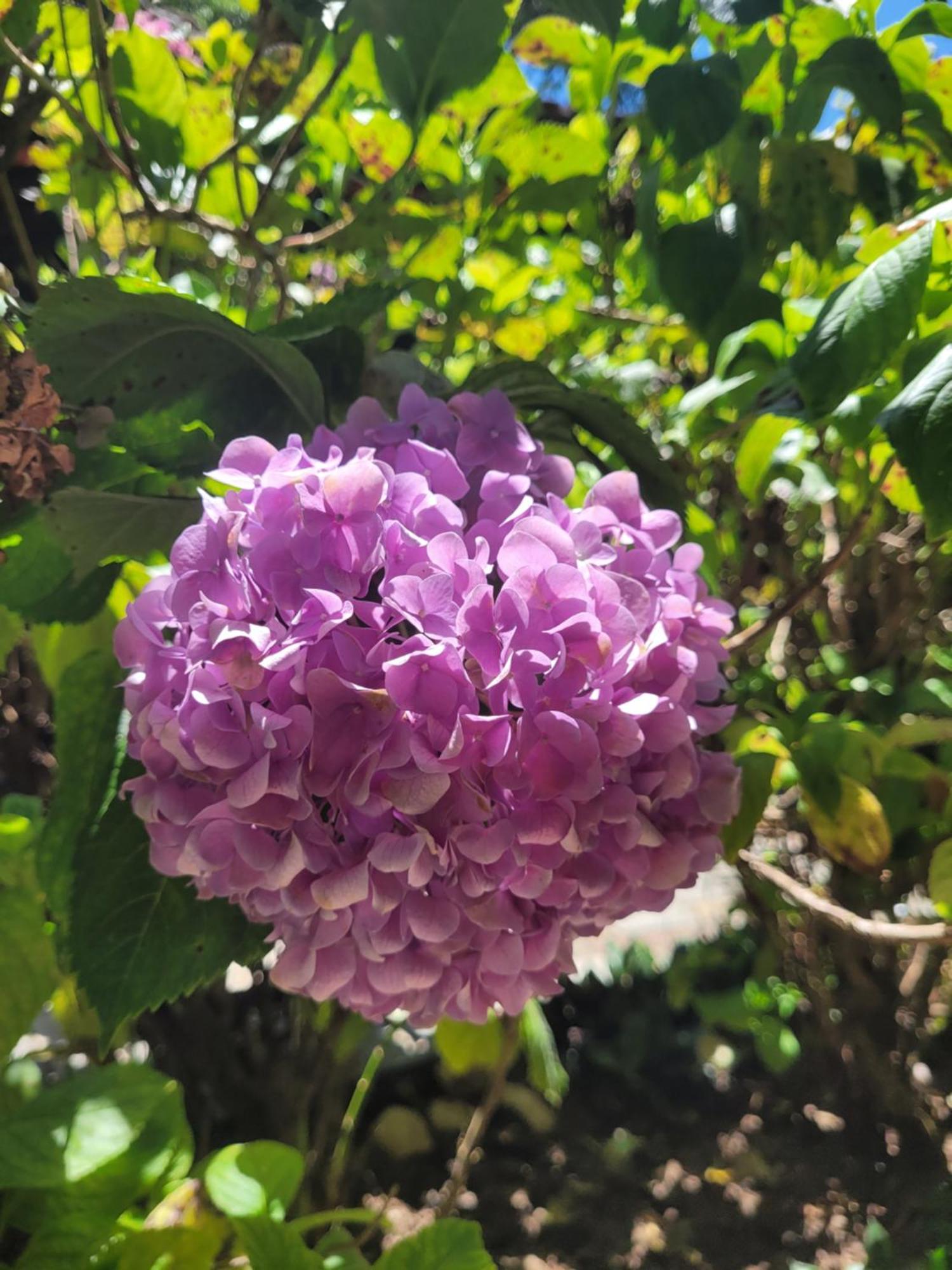 Fazenda Alvorada Santos Dumont