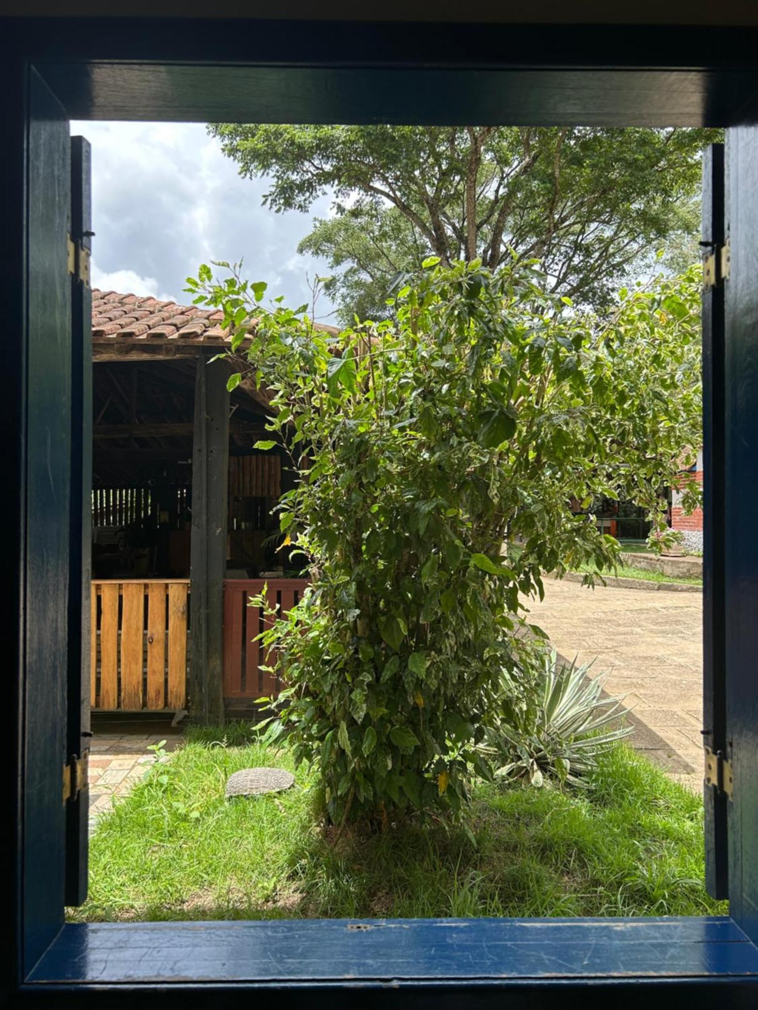 Fazenda Alvorada *