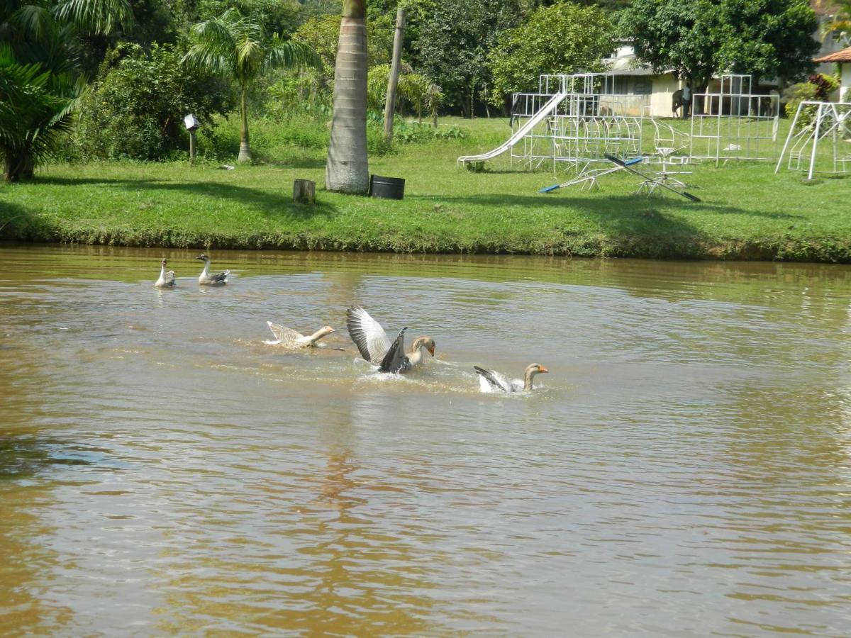 Fazenda Alvorada Farm stay *